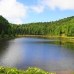 São Miguel, Azores: Sete Cidades Half-Day Jeep Tour - Who Should Consider This Tour?