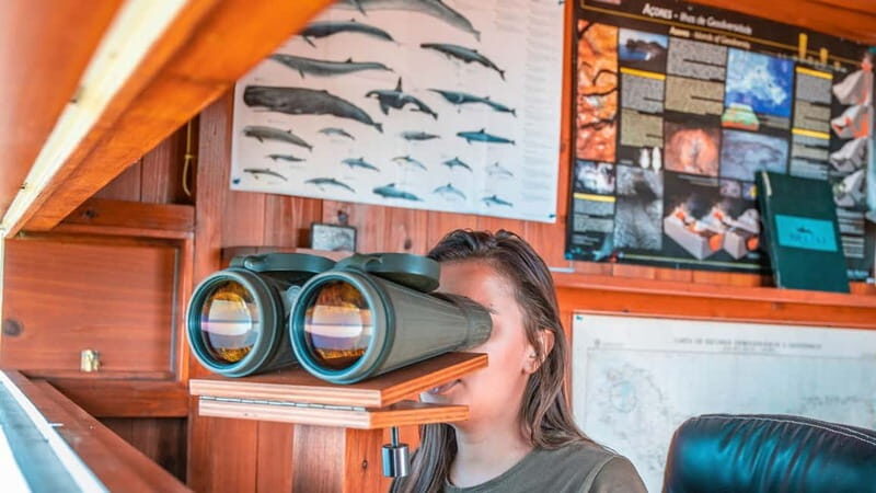 São Miguel: Azores Whaling Heritage Tour - In-Depth Review: What Makes This Tour Stand Out?