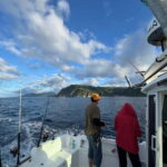 São Miguel: Boat Trip with SUP, Snorkelling & Barbecue - Who Would Love This Tour?