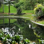 São Miguel: Botanical Gardens and Cave Tour - A Closer Look at the Experience