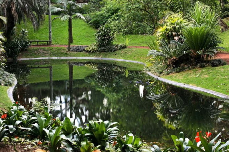 São Miguel: Botanical Gardens and Cave Tour - A Closer Look at the Experience