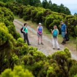 São Miguel: Full-Day Hike to Lagoa do Fogo - Who Should Book This Tour?