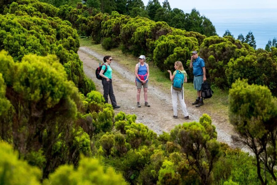 São Miguel: Full-Day Hike to Lagoa do Fogo - Who Should Book This Tour?