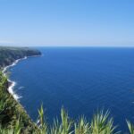 São Miguel: Full-Day Nordeste & Waterfall Tour with Lunch - Authentic Experiences and Practical Insights from Travelers