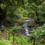 São Miguel Island: Chasing Waterfalls in the Azores Tour - Authentic Experiences and Balance