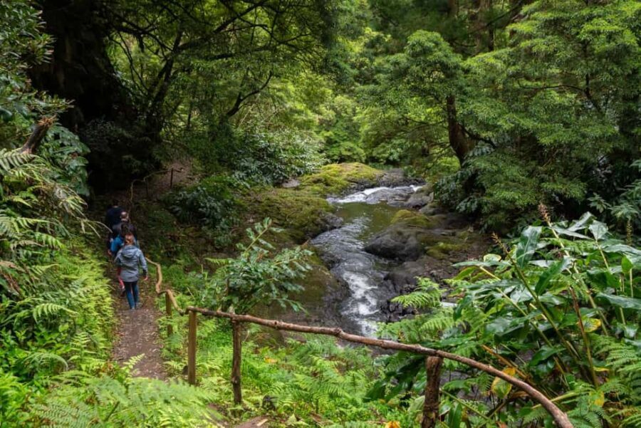 São Miguel Island: Chasing Waterfalls in the Azores Tour - Authentic Experiences and Balance