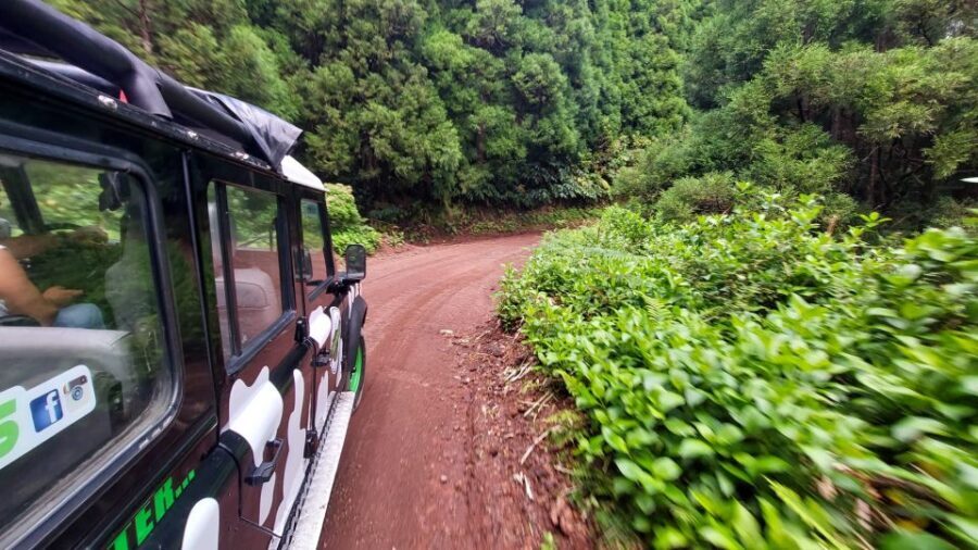 São Miguel Island: Full Day Furnas and Furnas Lake Tour - How to Make the Most of This Tour