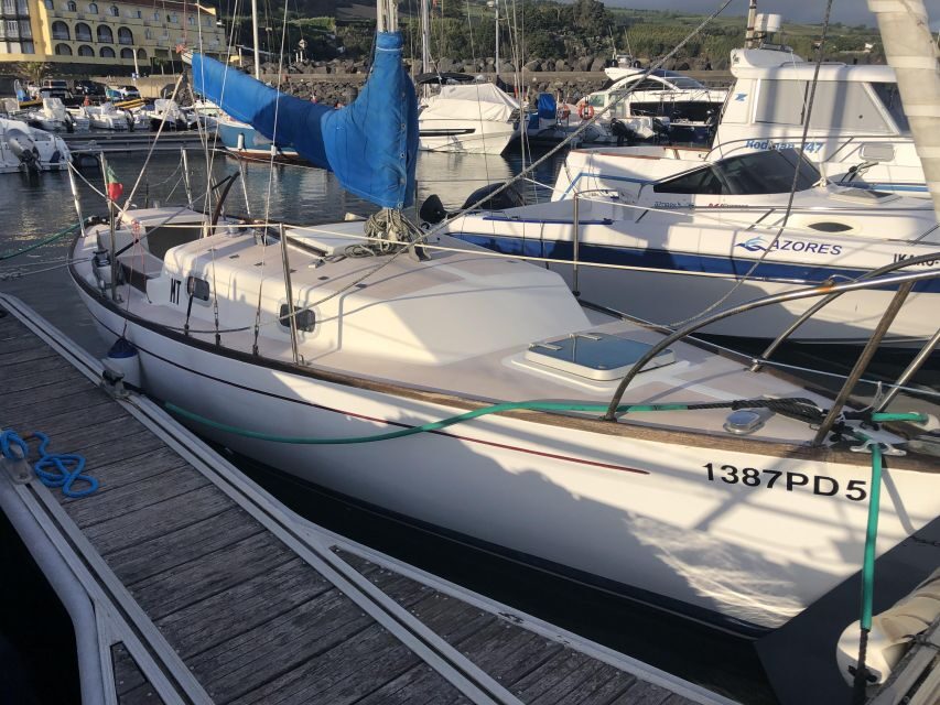São Miguel: Island Highlights Private Tour by Boat and Van - Who Should Consider This Tour?
