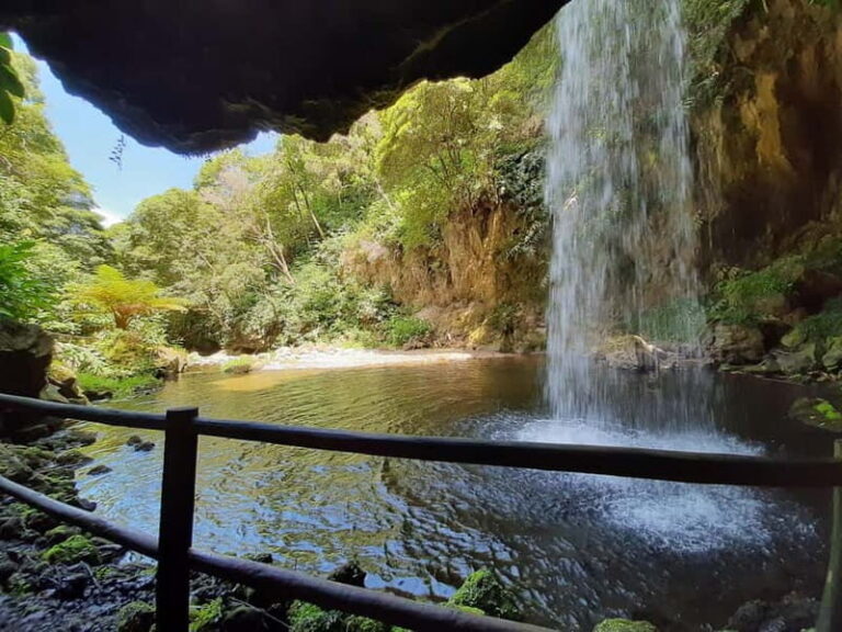 São Miguel: Moinho do Felix Hike with Tea Factory Visit - Starting Point and Logistics