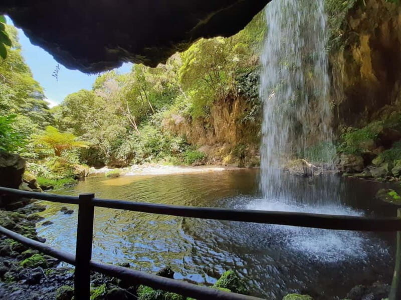 São Miguel: Moinho do Felix Hike with Tea Factory Visit - Starting Point and Logistics