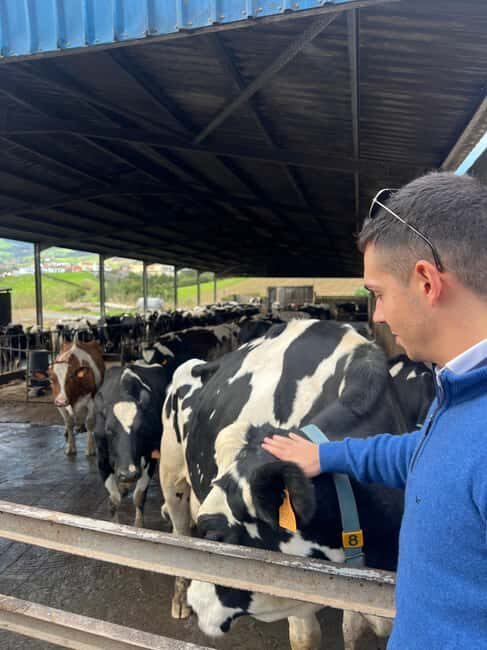 São Miguel: Nordeste Tour with Cow Milking - Practical Considerations