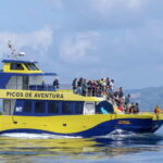 São Miguel: Whale-Watching Cruise with Marine Biologist - Final Thoughts: Is It Worth It?