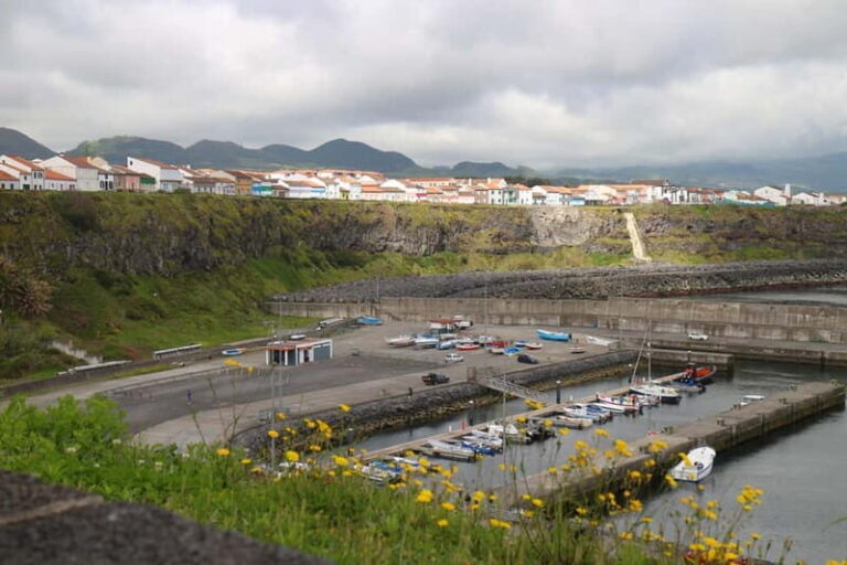 São Miguel:Rabo de Peixe From the Market to the Harbour Tour - What’s Included and What’s Not