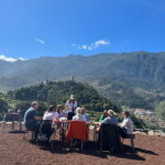 São Vicente Vineyard Visit With Traditional Lunch - Detailed Breakdown of the Experience