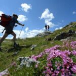 Sapadere Canyon Hiking Tour From Alanya - Authenticity and Value: What Makes This Tour Stand Out
