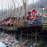 Sapanca and Zoo Private Tour From Istanbul - VIP Minivan - Best Quality - What We Love About This Tour