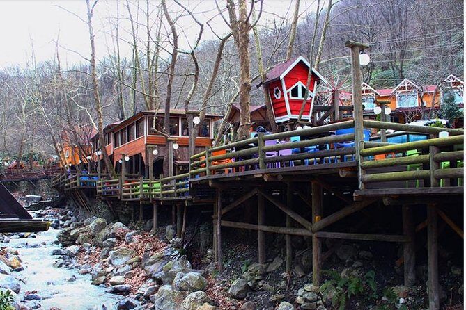 Sapanca and Zoo Private Tour From Istanbul - VIP Minivan - Best Quality - What We Love About This Tour