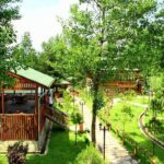 Sapanca Lake & Masukiye Tour From Istanbul - A Deep Dive into the Tour Experience