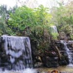 Sapanca & Masukiye Full-Day Tour with Lunch and Transfers - Authentic Value and Who Should Take This Tour