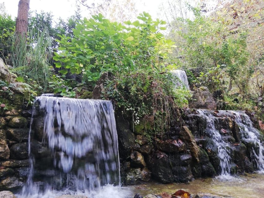 Sapanca & Masukiye Full-Day Tour with Lunch and Transfers - Authentic Value and Who Should Take This Tour