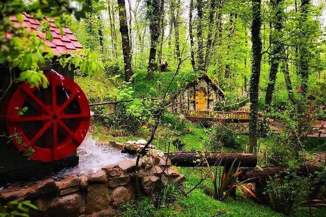 Sapanca - Masukiye Full Day Tour with Lunch - Final Thoughts