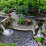 Sapanca Maukiye tour from Istanbul - Is This Tour Worth It?