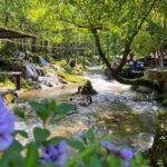 Sarajevo: Day Tour to Jajce, Travnik, Waterfalls, Pliva Lake - Authentic Experiences and What Travelers Say