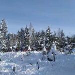 Sarajevo Sport tour: Olympic Mountains and Stadium Tour - Walking on the Bobsleigh and Luge Track