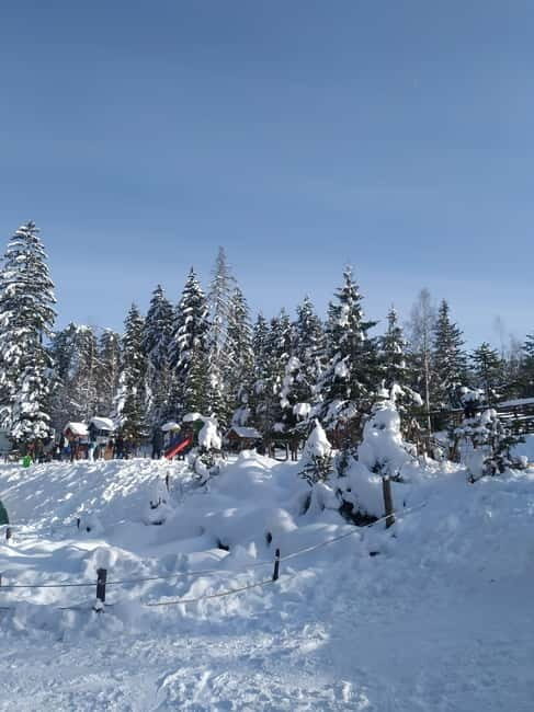 Sarajevo Sport tour: Olympic Mountains and Stadium Tour - Walking on the Bobsleigh and Luge Track