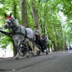 Sarajevo: Vrelo Bosne Nature Park Private Tour - Arriving at Vrelo Bosne: A Natural Oasis