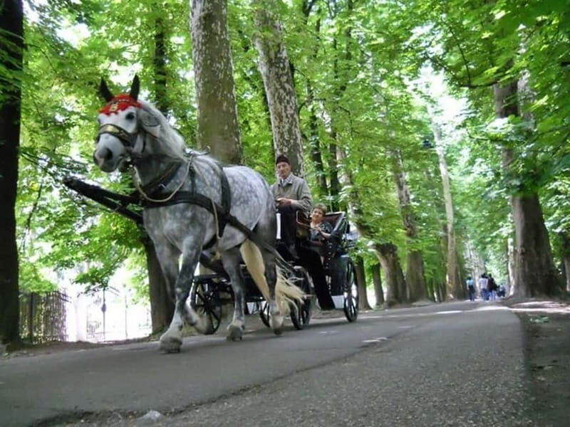 Sarajevo: Vrelo Bosne Nature Park Private Tour - Arriving at Vrelo Bosne: A Natural Oasis