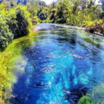 Saranda: Butrint, Blue Eye, Ksamil and Lekuresi Castle Tour - Exploring the Highlights of Southern Albania