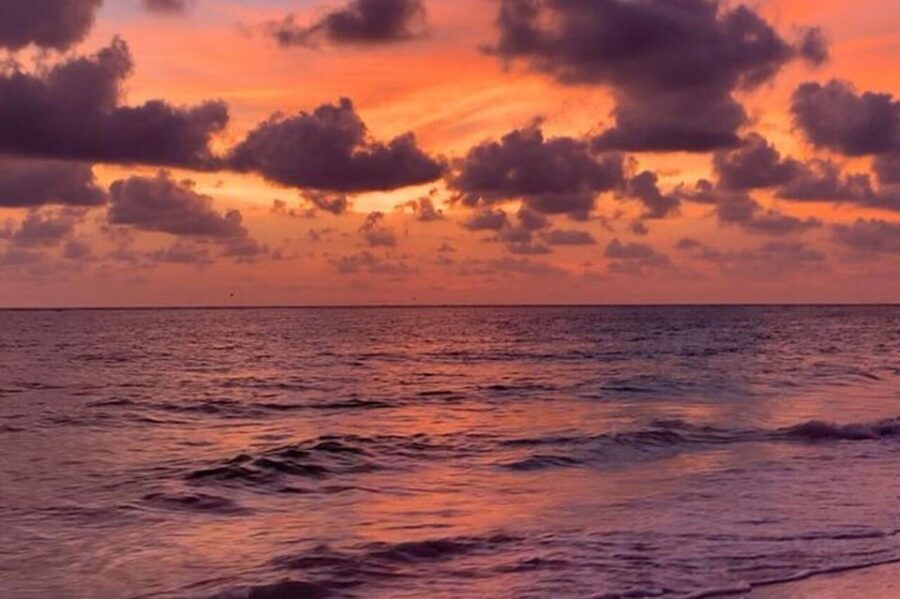 Sarasota: Siesta Key Electric Bike Sunset Tour - Why This Tour Offers Real Value