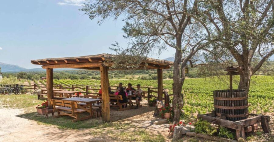 Sardinia: Dorgali Winery Tour with Tasting and Local Guide - Who Should Consider This Tour?
