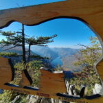 Sargan Eight railroad train ride & Tara mountain - Final Thoughts: Is This Tour Worth It?