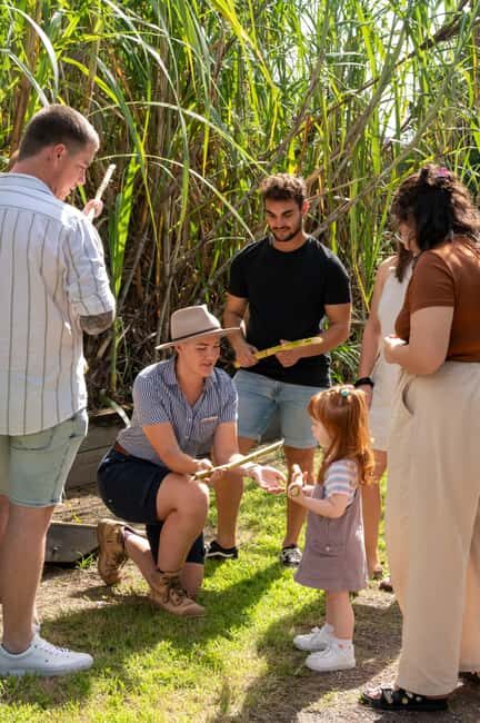 Sarina: Guided Tour of the Sarina Sugar Shed with Tasting - What to Expect from the Sarina Sugar Shed Tour
