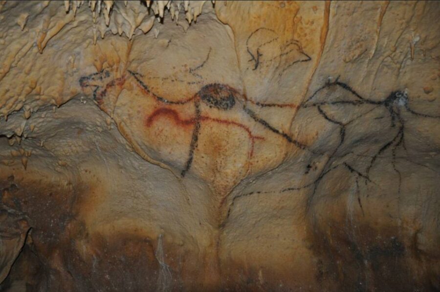 Sarlat : Private tour to Prehistoric Cave + Medieval Castle - A Deep Dive into the Experience