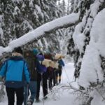 Särna: Fulufjället National Park Guided Hike with Lunch - Who Should Consider This Tour?