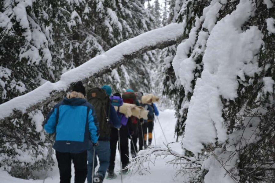 Särna: Fulufjället National Park Guided Hike with Lunch - Who Should Consider This Tour?