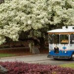 Savannah: 1.5-Hour Guided Trolley Tour with Shuttle Service - Detailed Breakdown of the Tour Experience