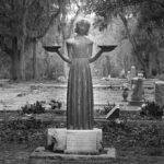 Savannah: Midnight in the Garden of Good and Evil Walk - Insight from Reviews