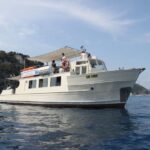 Savona: Exclusive nature cruise to the Pelagos Sanctuary - Who Will Love This Tour?