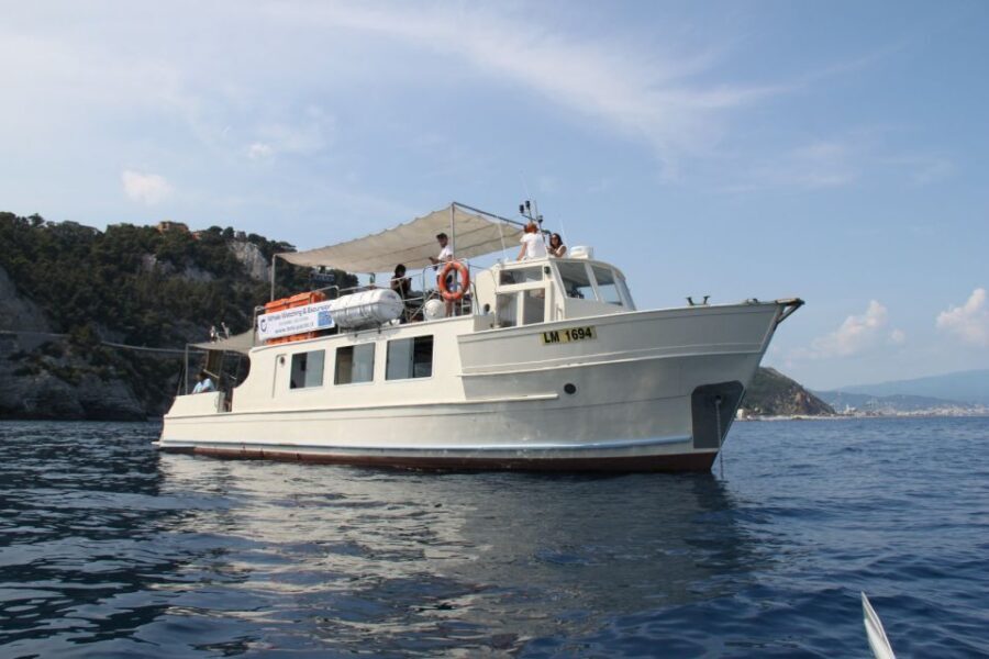 Savona: Exclusive nature cruise to the Pelagos Sanctuary - Who Will Love This Tour?