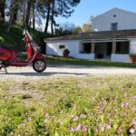 Savour The Flavors Of Corfu Vespa Scooter Tour - Who Will Love This Tour?
