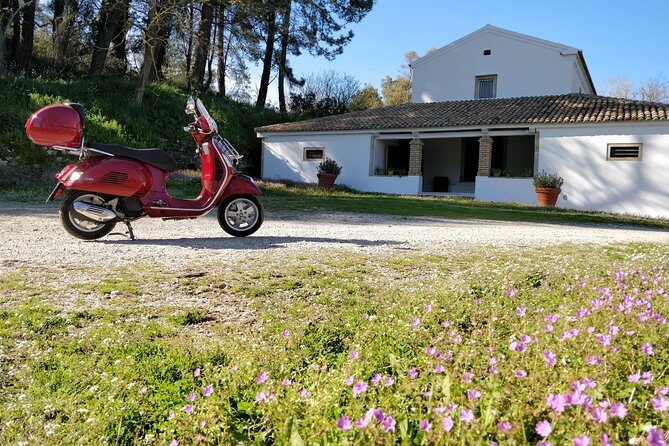 Savour The Flavors Of Corfu Vespa Scooter Tour - Who Will Love This Tour?