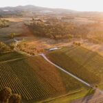 Savour with Swinging Bridge - Why This Experience Offers Great Value