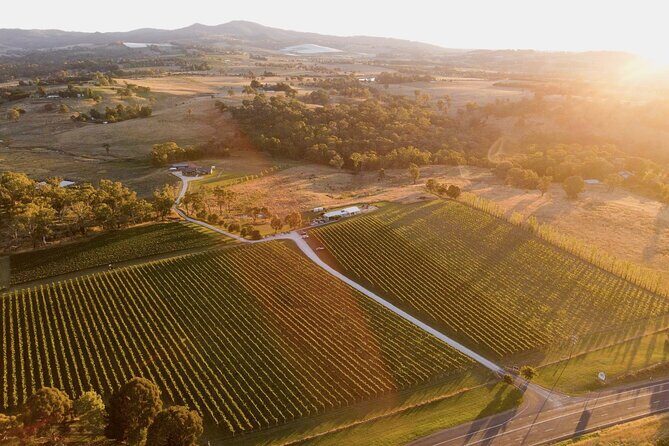 Savour with Swinging Bridge - Why This Experience Offers Great Value