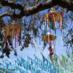 Sayulita: Guided Tour of the City - Why This Tour Won’t Disappoint