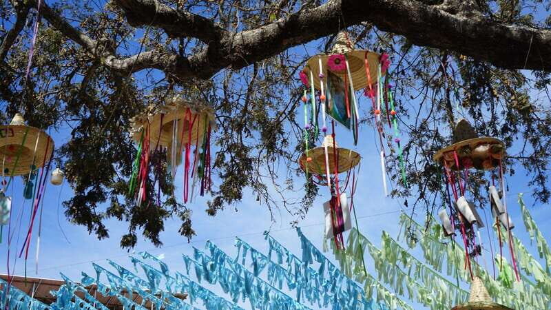 Sayulita: Guided Tour of the City - Why This Tour Won’t Disappoint