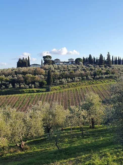 Scandicci: Bellavista Wine Tasting Experience - Introduction to the Bellavista Experience